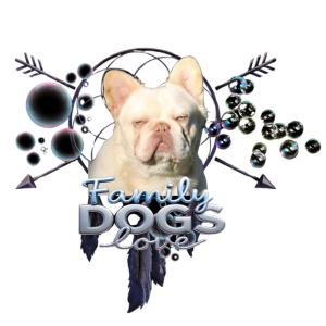 Eros, chien de l'élevage Family Dogs Love