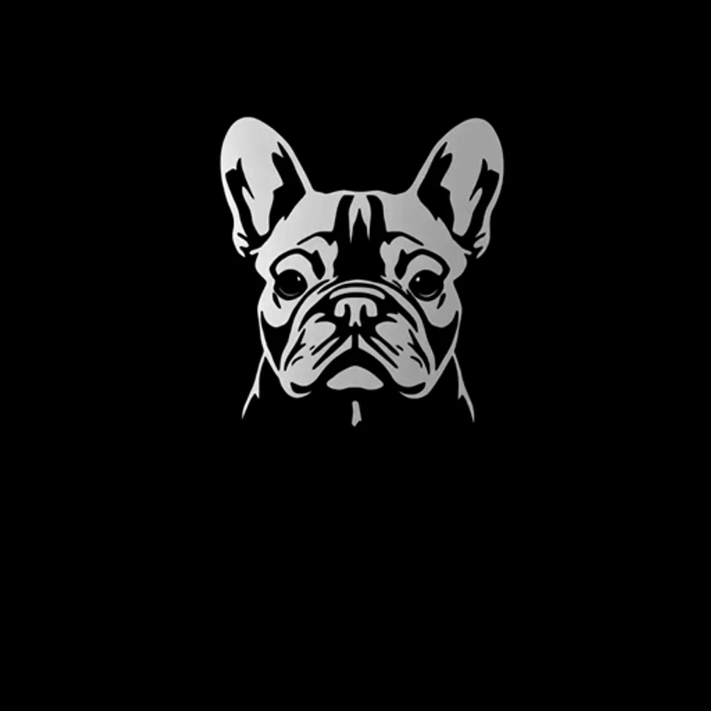 AMY - Bouledogue Français Exotique