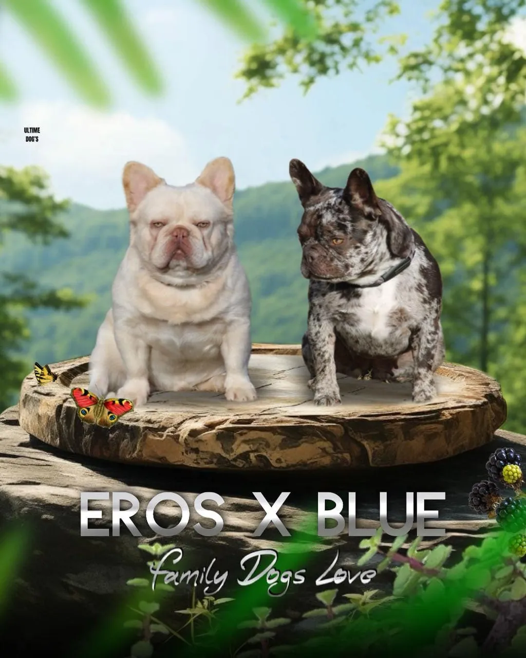 Mariage entre EROS et BLUE