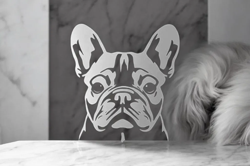 Femelle Bouledogue Français Fauve Merle