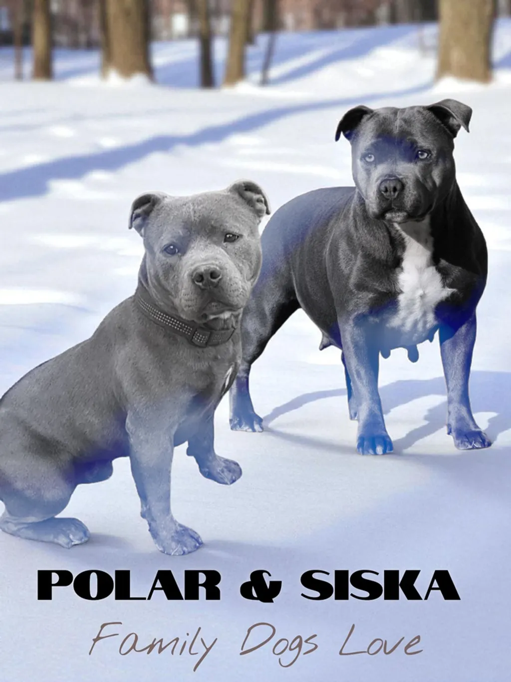 Mariage entre Polar et SISKA