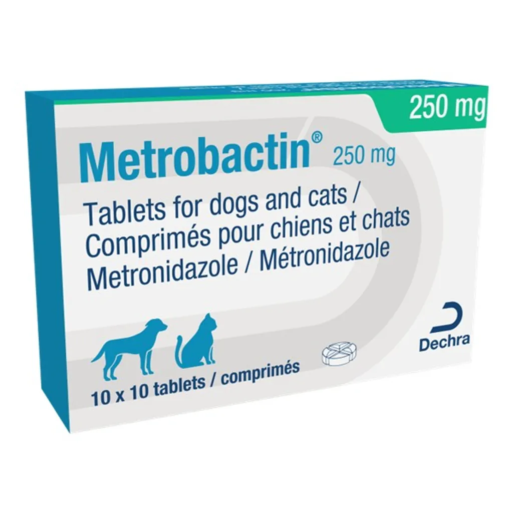 traitement spécial chien métrobactin à base de métronidazole