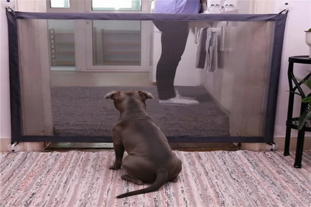 chiot staffy avec barrière de sécurité pour éviter l'accès à toute la maison